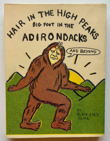 Hair in the High Peaks: This mini-zine is an illustrated sampling of Bigfoot tidbits from the Adirondack Park in upstate New York.